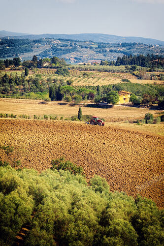 Typical Tuscan hill landscape with vineyards, olive grove an
