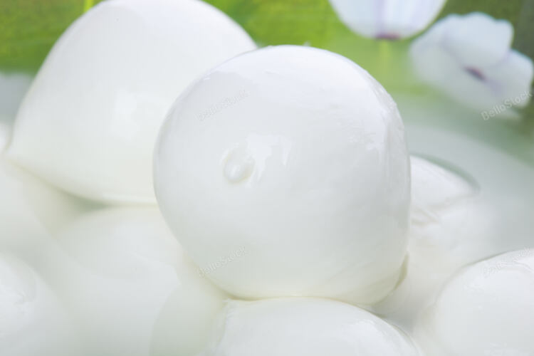Fresh italian mozzarella of buffalo