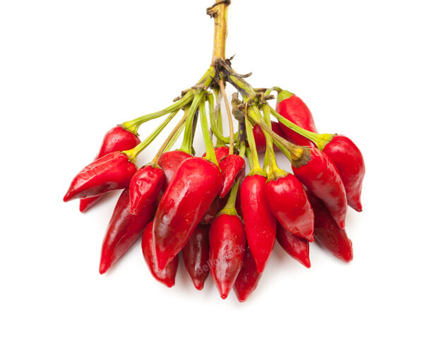 Bunch of fresh small red pepper isolated on white background