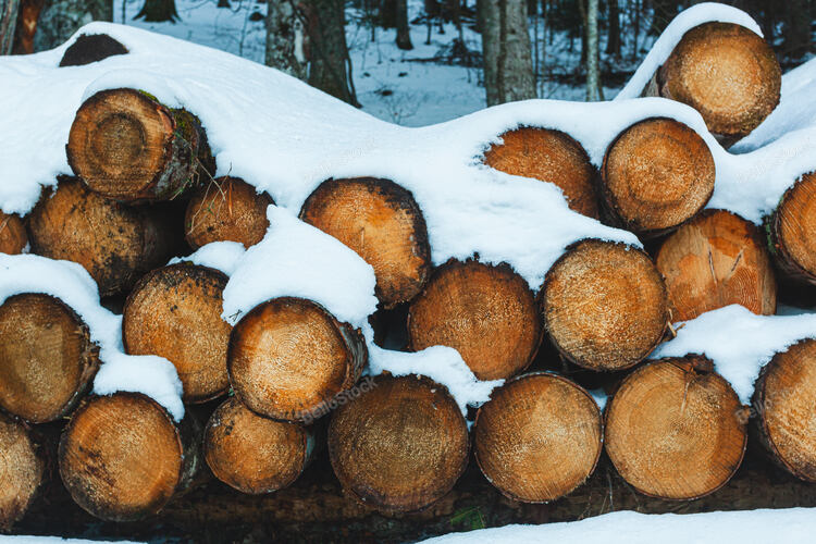 Logs of wood cut and stacked in the mountains under the snow