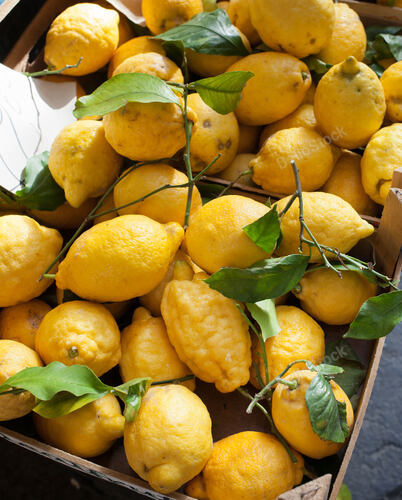 Baskets with  lemons in outdoors market of Sorrento, Italy.