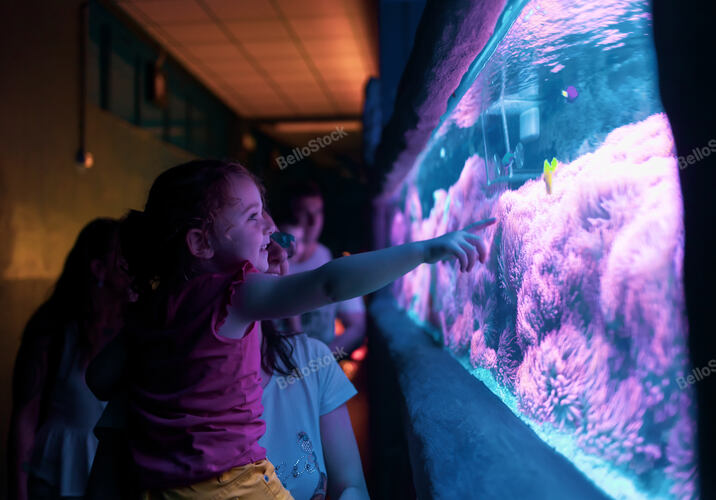 Happy family looking at fish tank at the aquarium.