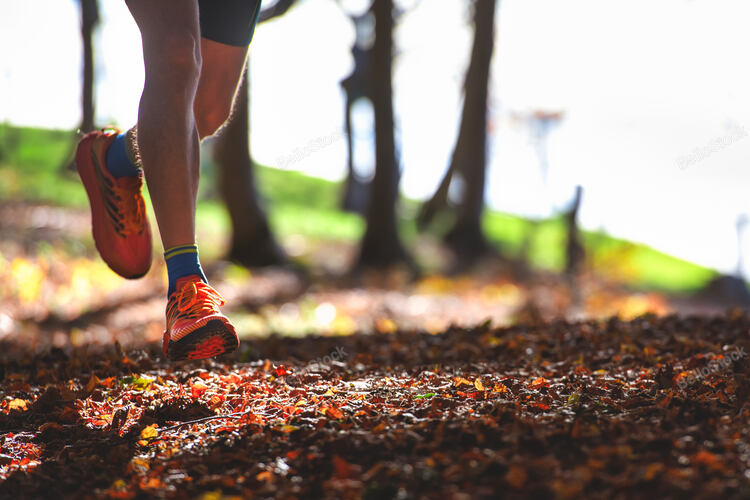 Detail of a runner's shoes in the woods among the dry leaves