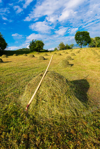 Bales of hay With handmade rake without a car as it once was