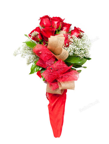 Flower bouquet of red roses on white background
