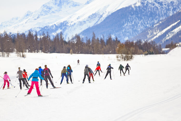 Cross-country skiers on the Swiss alps