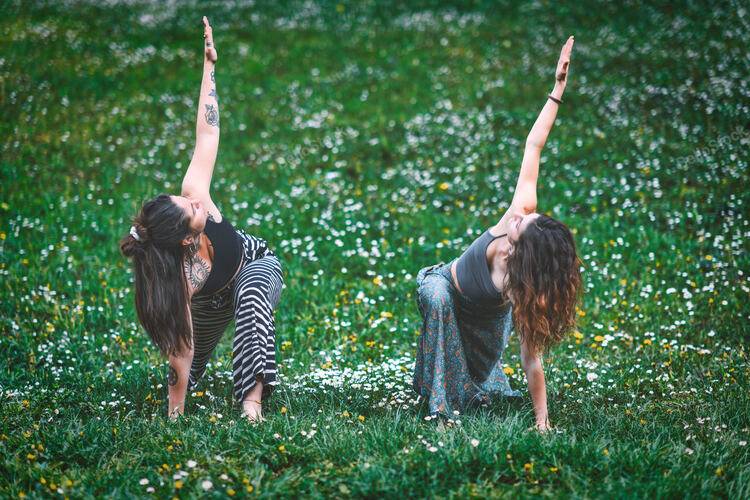 Female couple in a sports yoga practice in the meadow in spr
